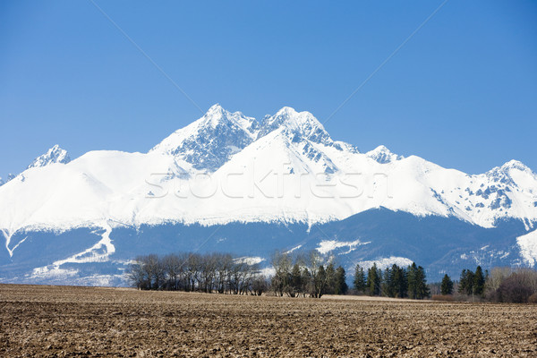 ストックフォト: 高い · スロバキア · 風景 · 雪 · 山 · 公園