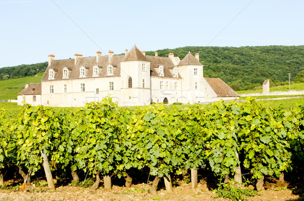 Clos Blanc De Vougeot Castle, Burgundy, France Stock photo © phbcz