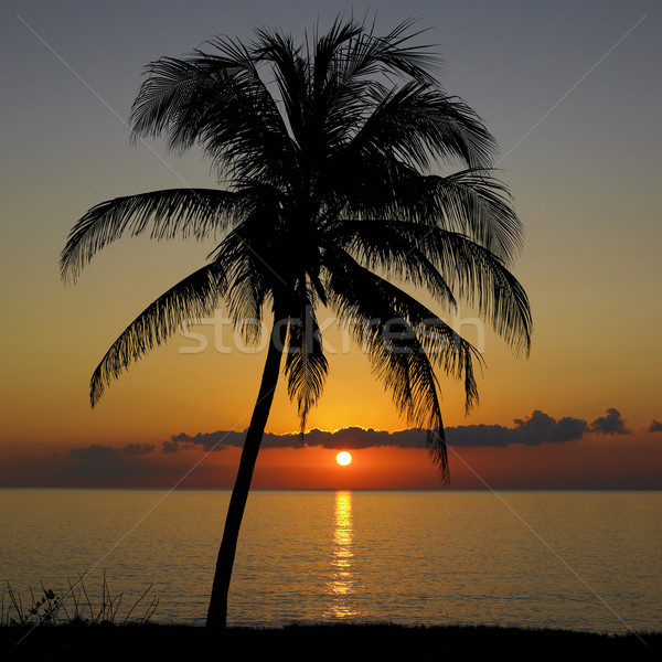 sunset over Caribbean Sea, Mar Stock photo © phbcz