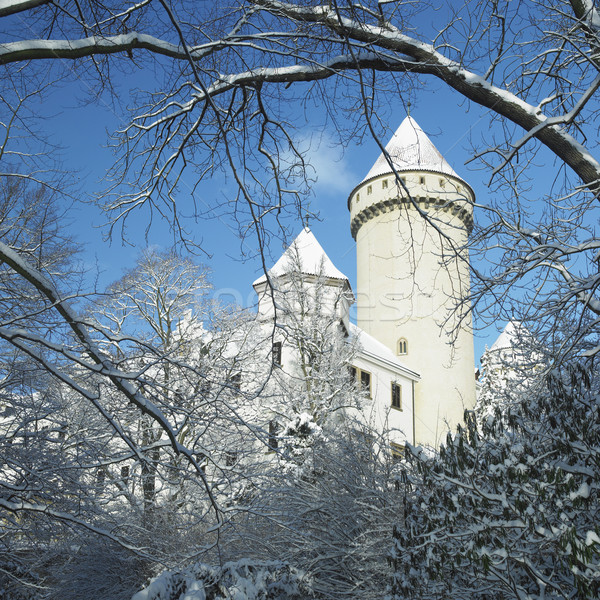 Konopiste chateau in winter, Czech Republic Stock photo © phbcz