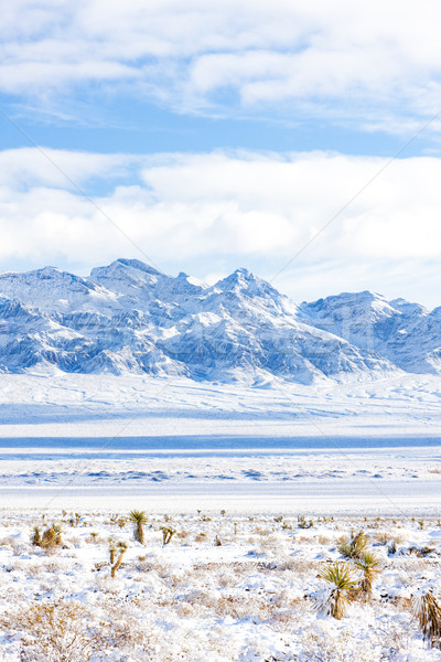 Berge Las Vegas Nevada USA Landschaft Schnee Stock foto © phbcz