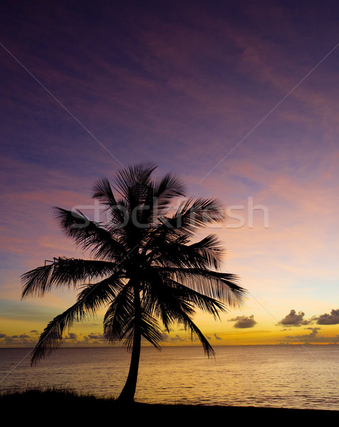 sunset over Caribbean Sea, Barbados Stock photo © phbcz