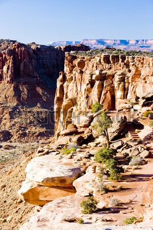 Park Utah USA Landschaft Berge Felsen Stock foto © phbcz