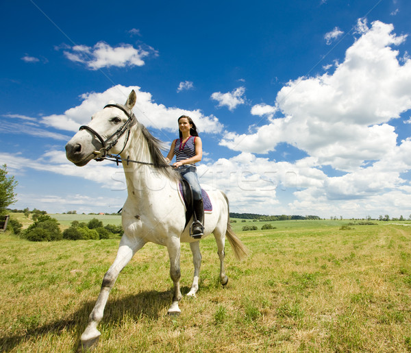 equestrian on horseback Stock photo © phbcz