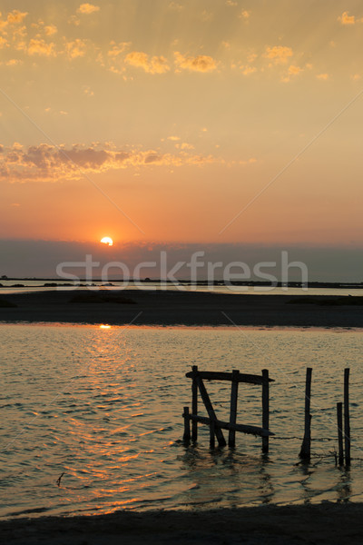 sunset in Camargue, Provence, France Stock photo © phbcz