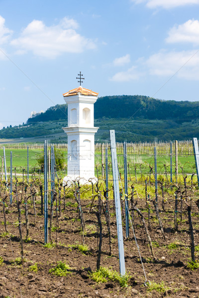 God''s torture with vineyard, Palava, Czech Republic Stock photo © phbcz