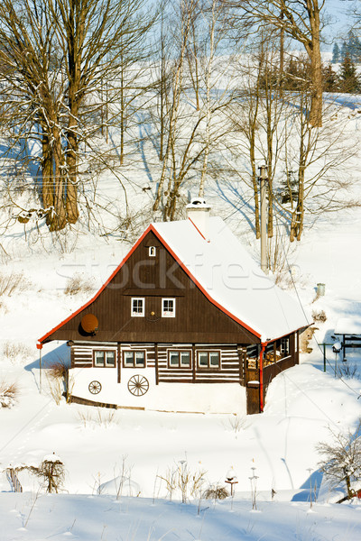 cottage in winter, Bartosovice in Orlicke Mountains, Czech Repub Stock photo © phbcz