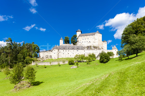 Zamek obniżyć Austria podróży architektury Zdjęcia stock © phbcz