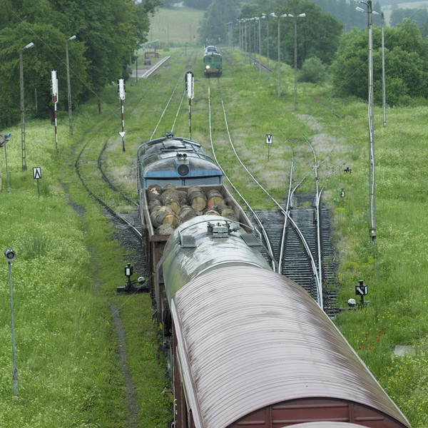 Züge Polen Zug Motor Transport Trainer Stock foto © phbcz