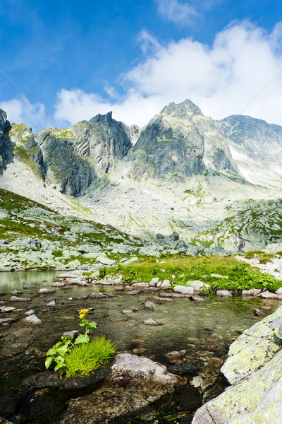 Five Spis Tarns, High Tatras (Vysoke Tatry), Slovakia Stock photo © phbcz