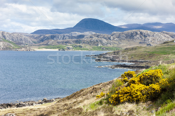Felvidék Skócia tájkép tenger Európa bokor Stock fotó © phbcz