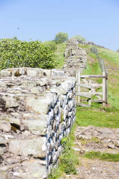 Hadrian's wall, Northumberland, England Stock photo © phbcz