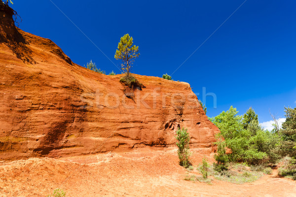 Colorado Francja drzewo podróży rock Europie Zdjęcia stock © phbcz