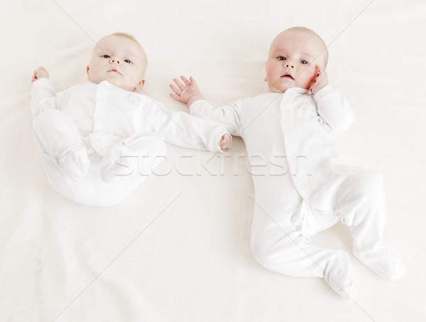 four months old babies Stock photo © phbcz
