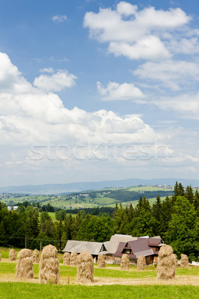 landscape of Tatras near Zakopane, Poland Stock photo © phbcz