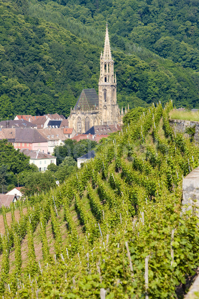 grand cru vineyard, Thann, Alsace, France Stock photo © phbcz