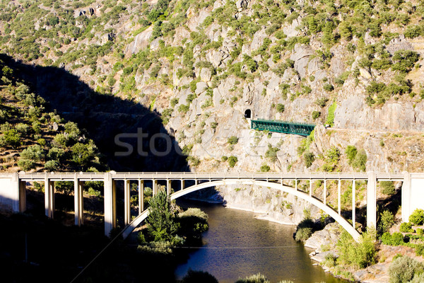 railway and road viaducts in Douro Valley, Portugal Stock photo © phbcz