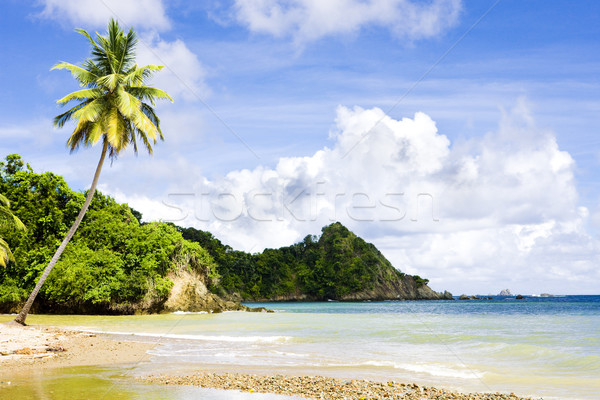 Batteaux Bay, Tobago Stock photo © phbcz