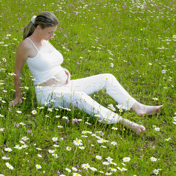 Vrouw weide bloem bloemen zwangere daisy Stockfoto © phbcz