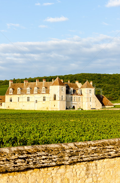 Clos Blanc De Vougeot Castle, Burgundy, France Stock photo © phbcz