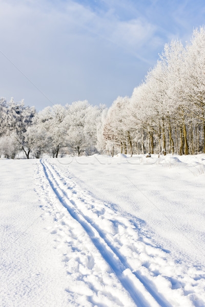 Stock photo: winter landscape, Czech Republic