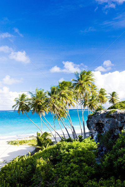 Bottom Bay, Barbados, Caribbean Stock photo © phbcz
