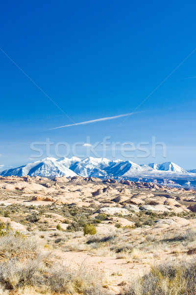 La Sal Mountains, Arches NP, Utah, USA Stock photo © phbcz