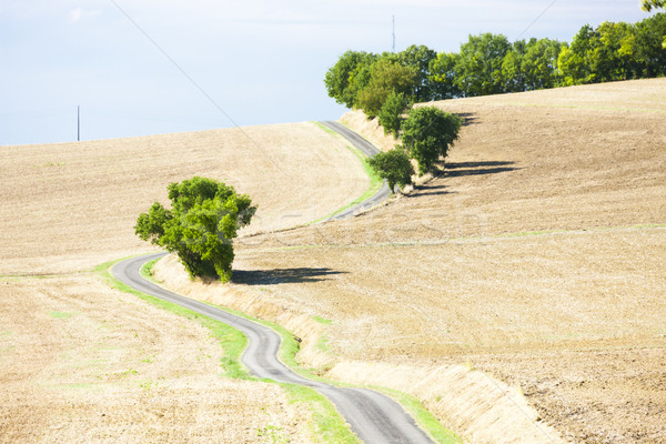 field with a road, Gers Department, France Stock photo © phbcz