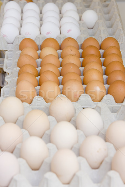 egg boxes Stock photo © phbcz