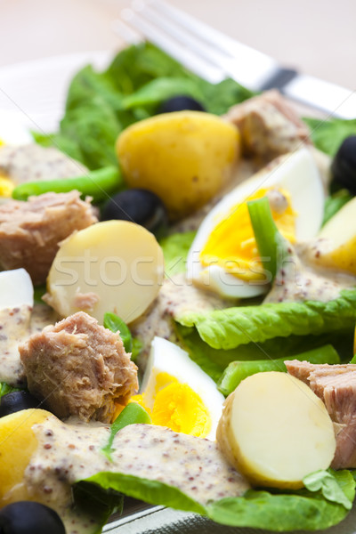 Nicoise salad Stock photo © phbcz