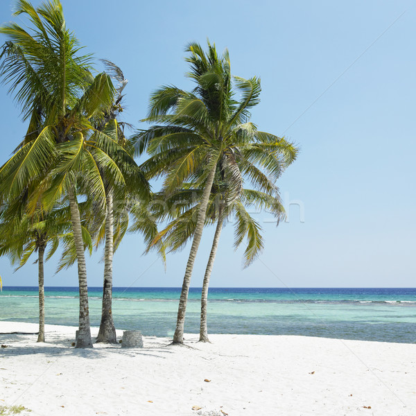 Playa Gir Stock photo © phbcz