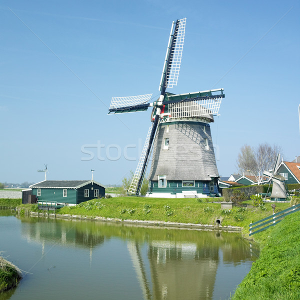 Сток-фото: Windmill · север · Нидерланды · мельница · Открытый