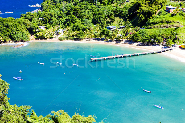 Parlatuvier Bay, Tobago Stock photo © phbcz
