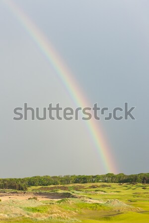 Regenboog golfbaan Schotland hemel golf landschap Stockfoto © phbcz