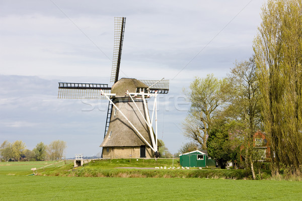 windmill near Broeksterwoude, Friesland, Netherlands Stock photo © phbcz