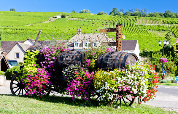 Alsace, France Stock photo © phbcz