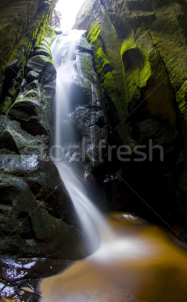 waterfall, Teplice-Adrspach Rocks, Czech Republic Stock photo © phbcz