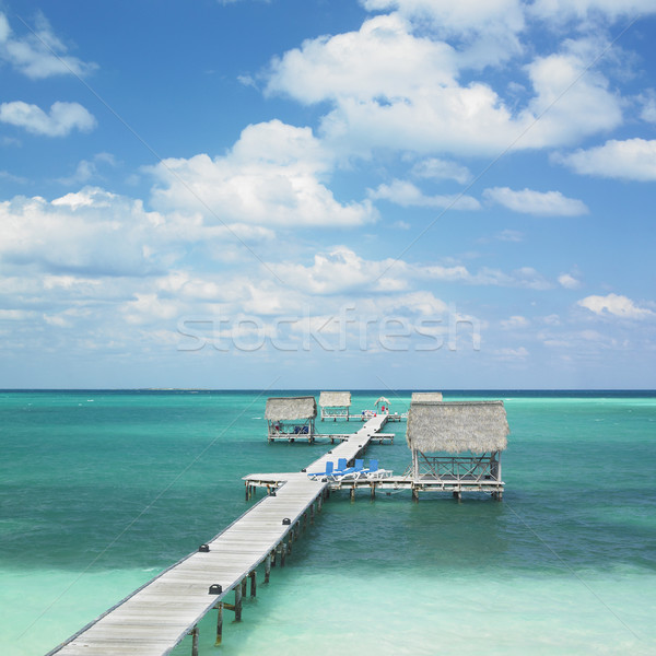 Wody morza raj wakacje wybrzeża brzegu Zdjęcia stock © phbcz