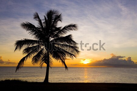 sunset over Caribbean Sea, Barbados Stock photo © phbcz