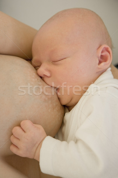 suckling baby Stock photo © phbcz