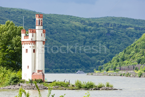 Binger Maeuseturm, Mouse Tower on Mouse Island, Rhineland-Palati Stock photo © phbcz