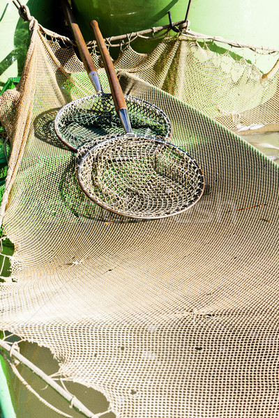 landing nets Stock photo © phbcz