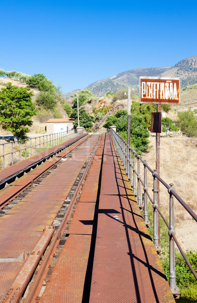 railway viaduct near border of Portugal, Castile and Leon, Spain Stock photo © phbcz