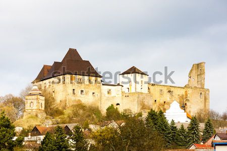 Malbork Castle, Pomerania, Poland Stock photo © phbcz
