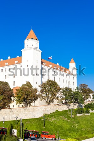 Bratislava kale Slovakya şehir seyahat mimari Stok fotoğraf © phbcz