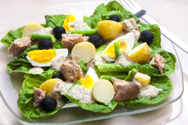 Nicoise salad Stock photo © phbcz