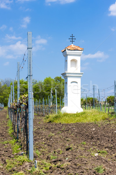 God''s torture with vineyard near Palava, Czech Republic Stock photo © phbcz