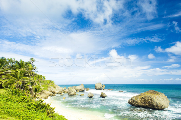 Bathsheba, East coast of Barbados, Caribbean Stock photo © phbcz
