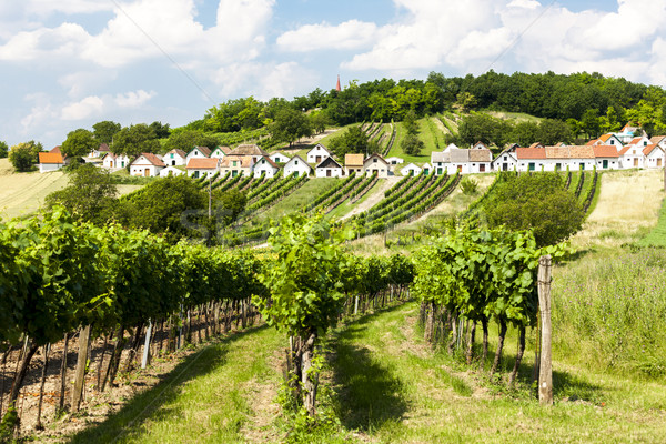 wine cellars with vineyards, Galgenberg, Lower Austria, Austria Stock photo © phbcz