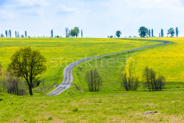 Bahar manzara yol Çek Cumhuriyeti ağaç bitki Stok fotoğraf © phbcz